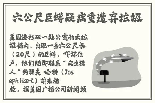 守妇-区二区三区无毛片